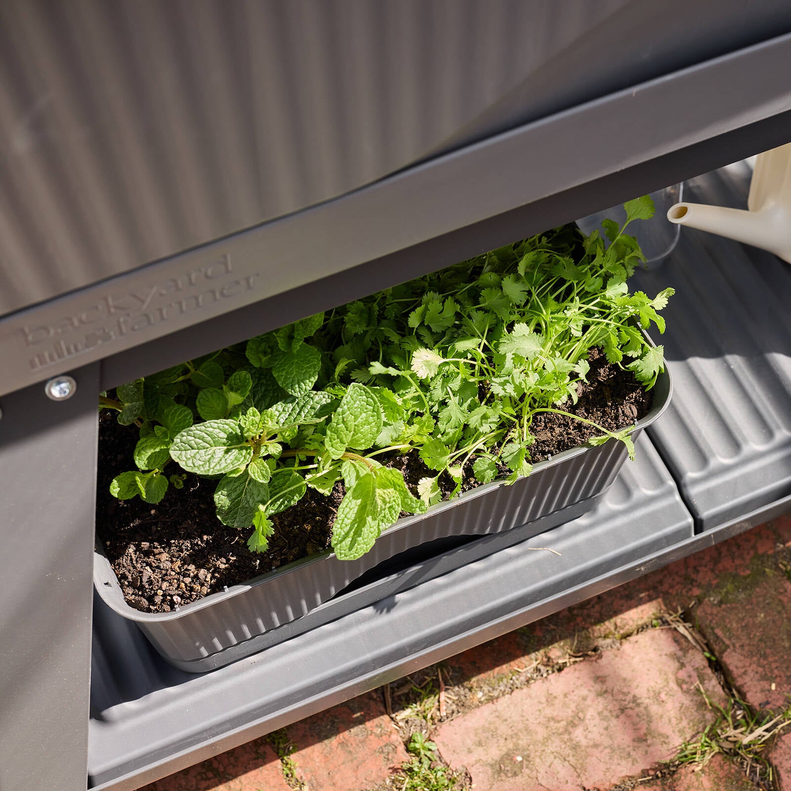 Backyard Farmer Lula Mini Greenhouse, Grey Seed Propagator