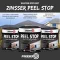 Zinsser Peel Stop Clear Binding Primer 1L Water-Based Sealer Indoor Outdoor