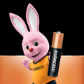 Duracell Coppertop AAA Alkaline Batteries - 24 Pack