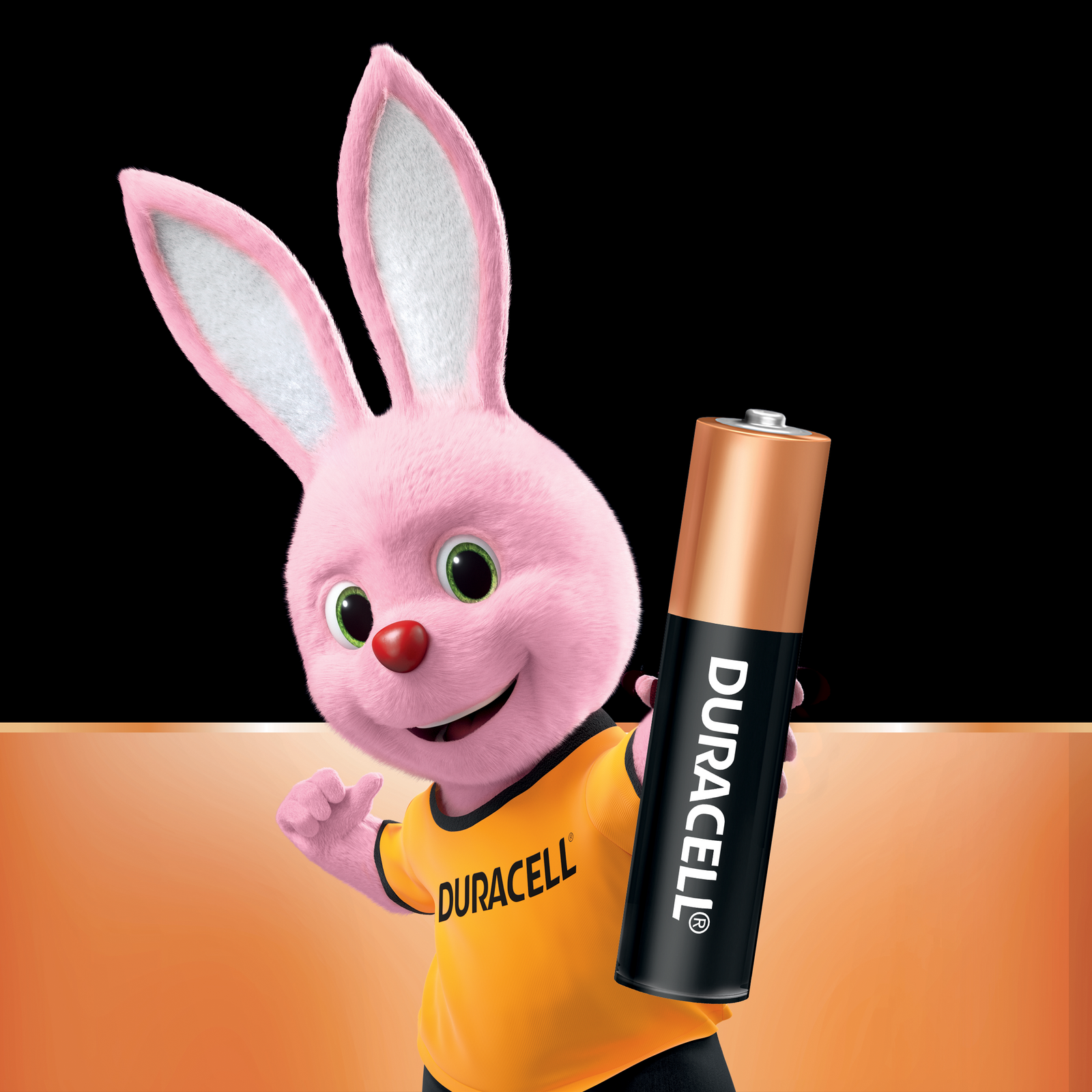 Duracell Coppertop AAA Alkaline Batteries - 24 Pack