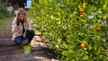 Scotts Osmocote Plus Organics - 1.5kg - Controlled Release Fertiliser - Citrus Use - SuperSaverAU - view 2