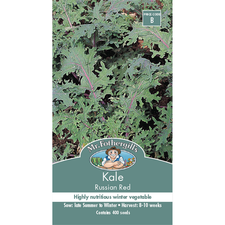 Mr Fothergill S Kale Russian Red Seeds - 75mm - Green - Nutritious - SuperSaverAU - view 1