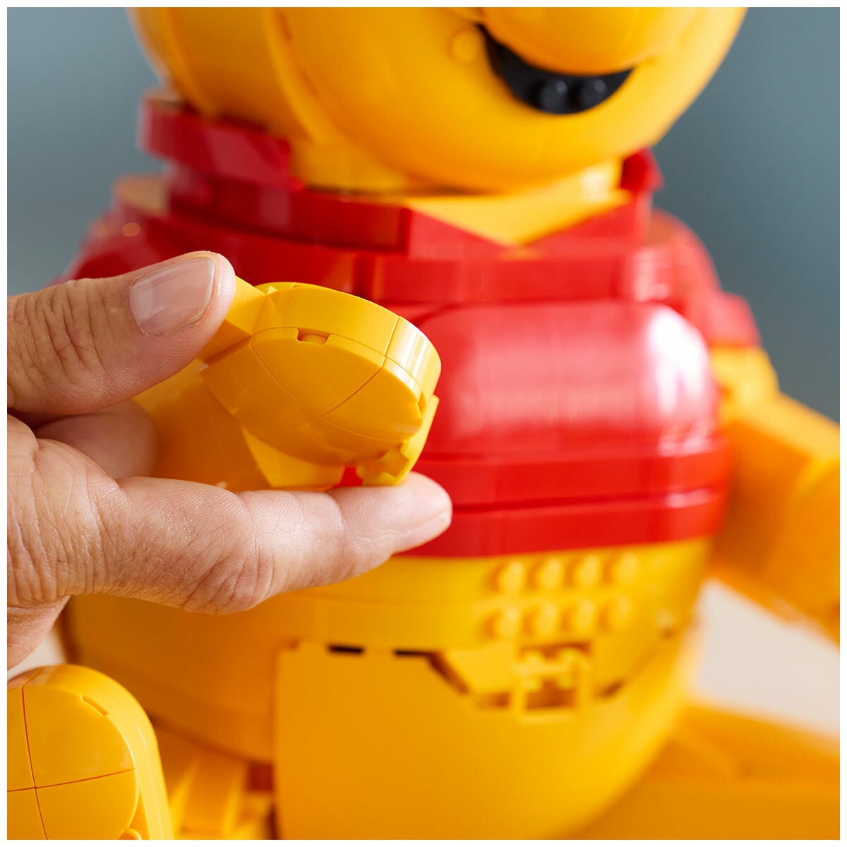 LEGO Disney Winnie the Pooh Classic Decoration 43300