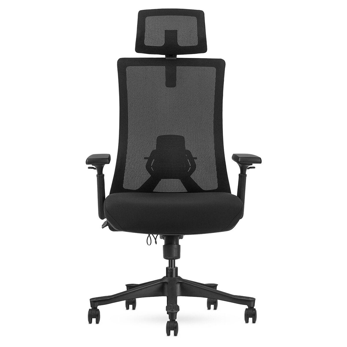 Lifespan Fitness DM9 Ergonomic Mesh High Back Office Chair - Adjustable Lumbar, 3D Armrests - LFOC-DM9BK-1