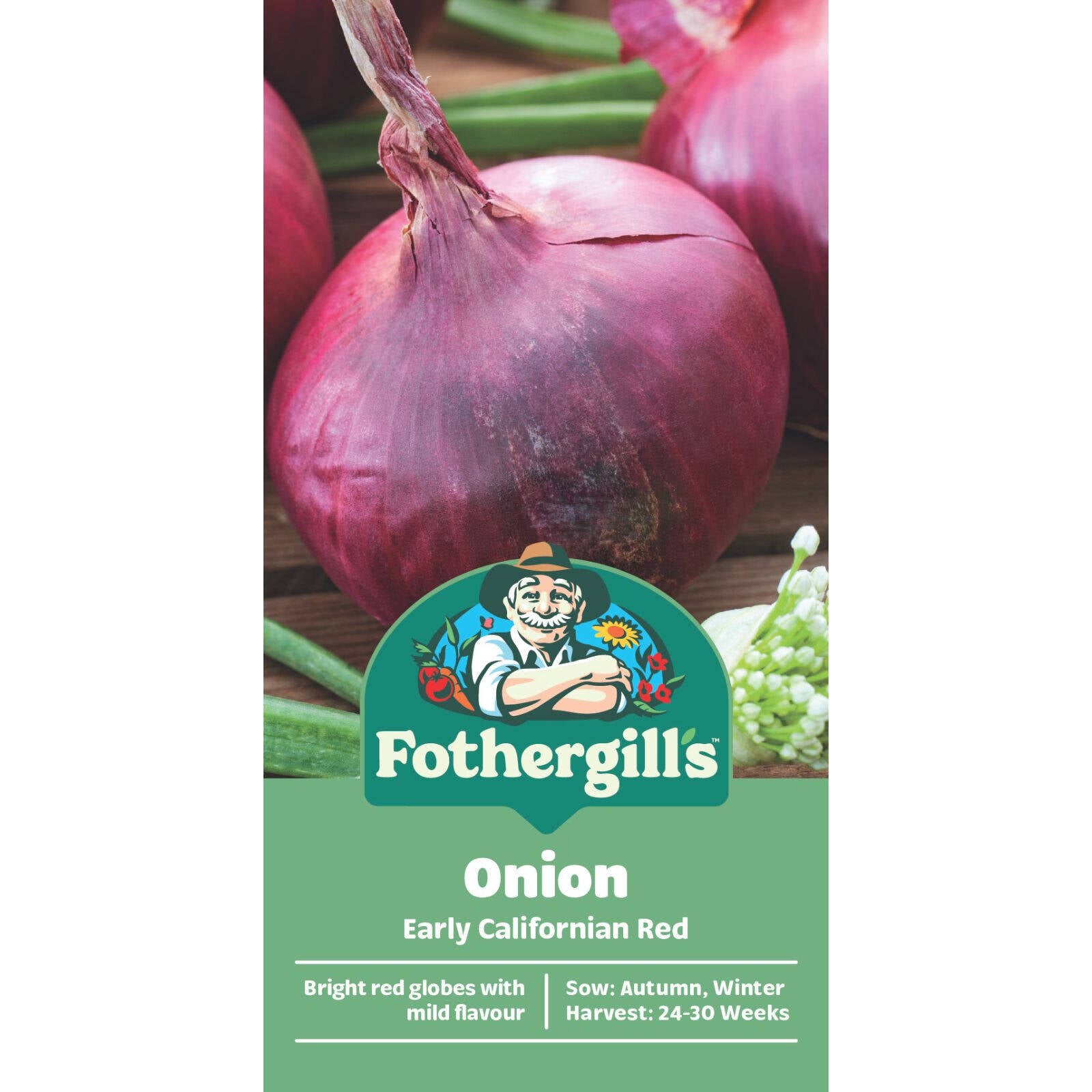 Mr Fothergill's Early Californian Red Onion Seeds - Mild Red Variety, Sun or Part Shade