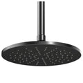 Rogerseller Tonic 250mm shower rose - 3 star WELS, 9L/min, brass, Brushed Nickel finish - 35060000107