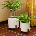 Ceramic Planters On Stand Set Of 2