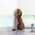 Protectoral Enduroshield Glass Polish - 0.5kg - 90mm x 65mm x 200mm - Restores Clarity - SuperSaverAU - view 2