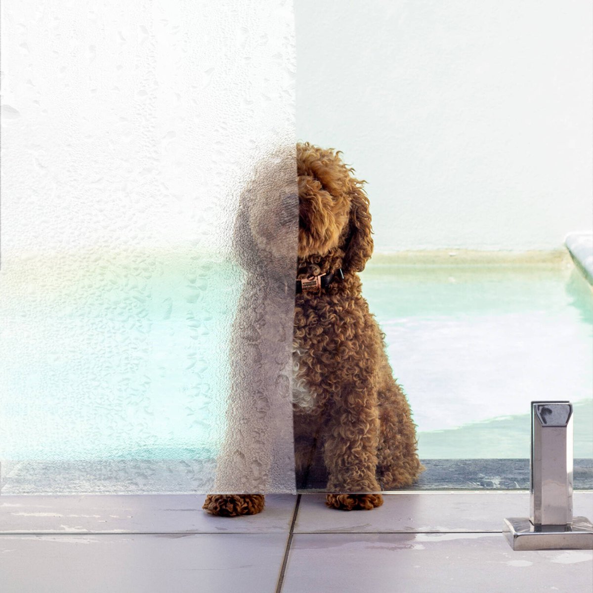 Protectoral Enduroshield Glass Polish - 0.5kg - 90mm x 65mm x 200mm - Restores Clarity - SuperSaverAU - view 2