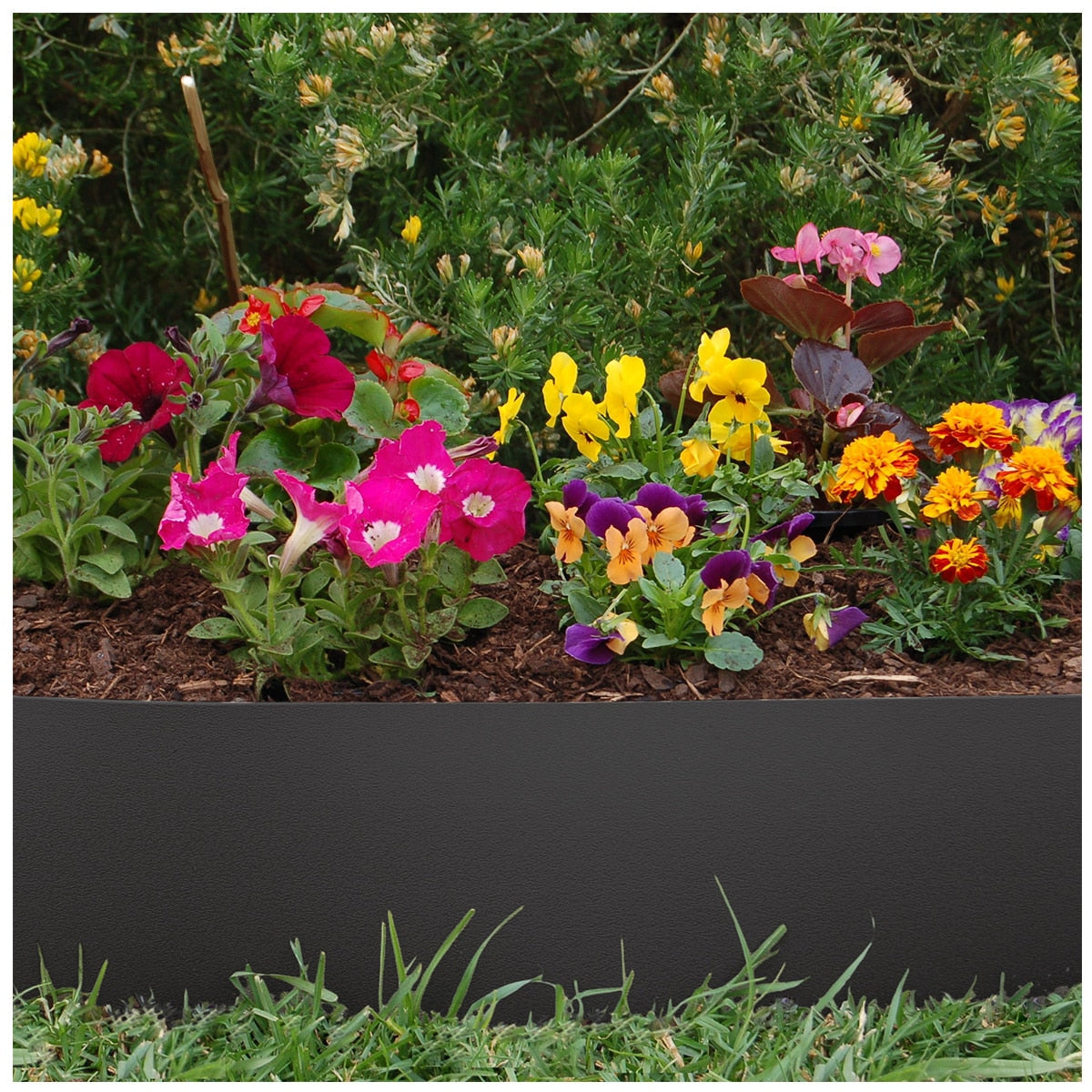 Greenlife Plastic Garden Edging 2 x (1000 x 15cm) With 20 Pegs Black - SuperSaverAU - view 4