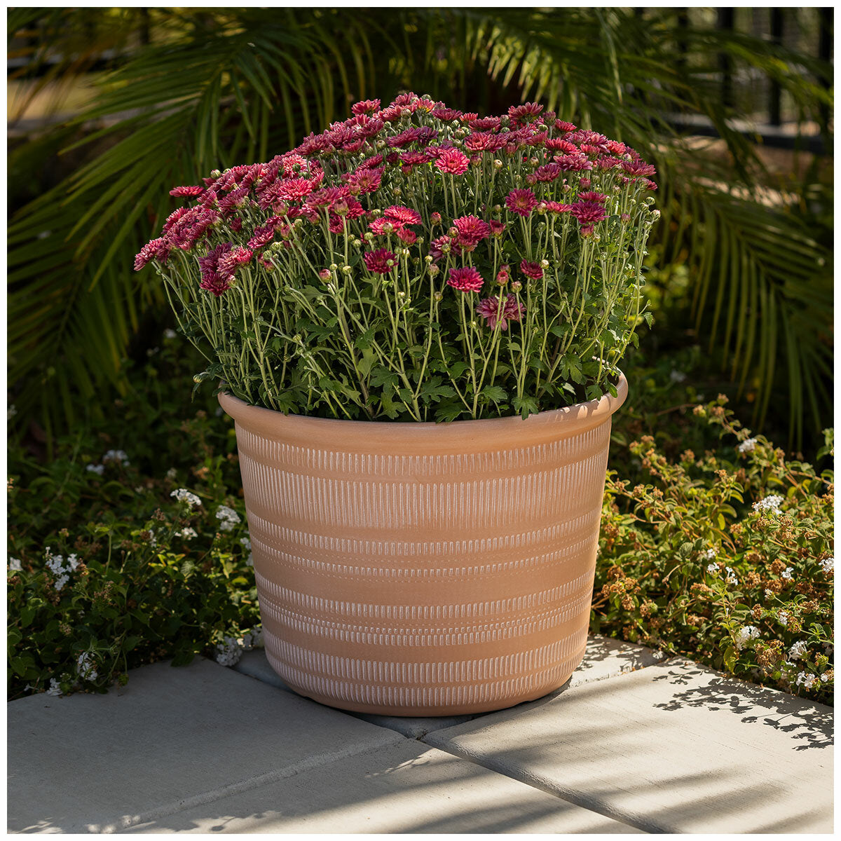 Trendspot Forum Planters 3 Pack
