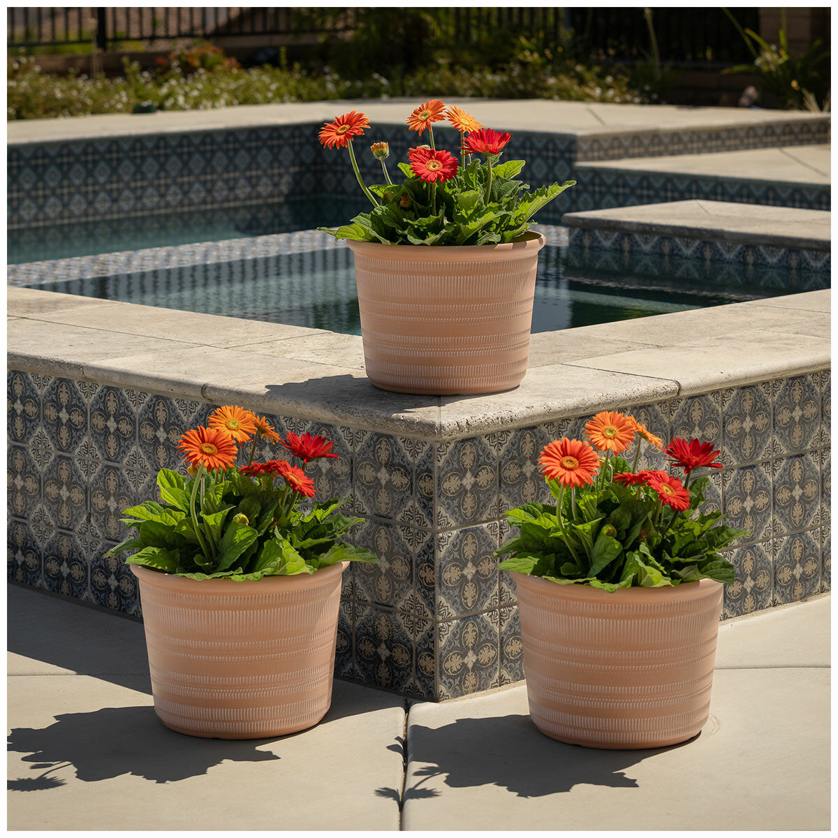 Trendspot Forum Planters 3 Pack