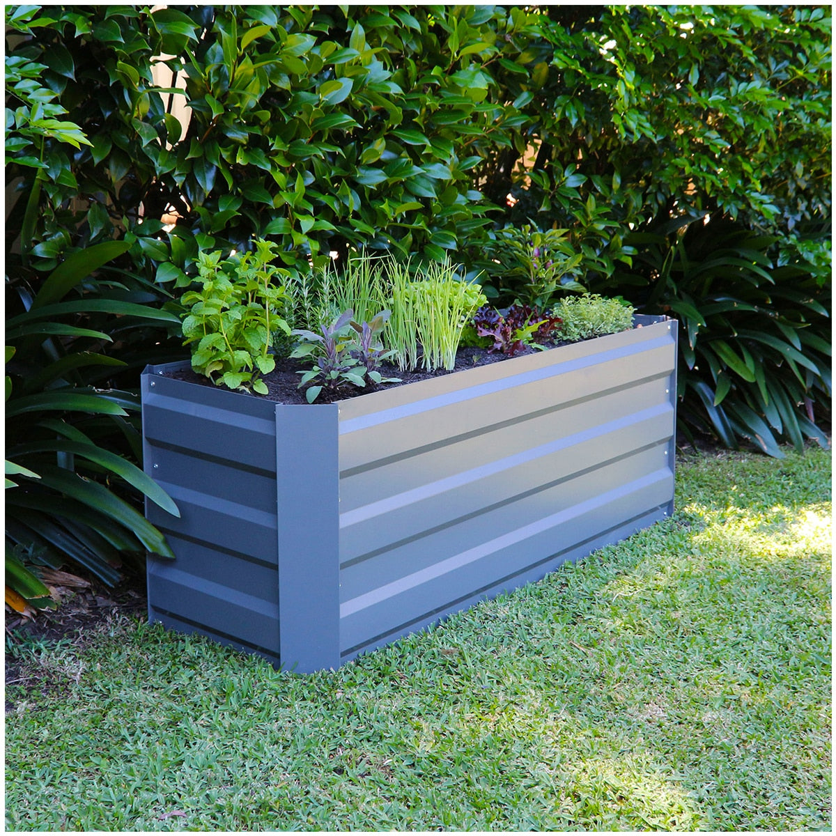 Greenlife Slimline Garden Bed And Greenhouse Cover 120 x 45 x 45cm Slate Grey - SuperSaverAU - view 3