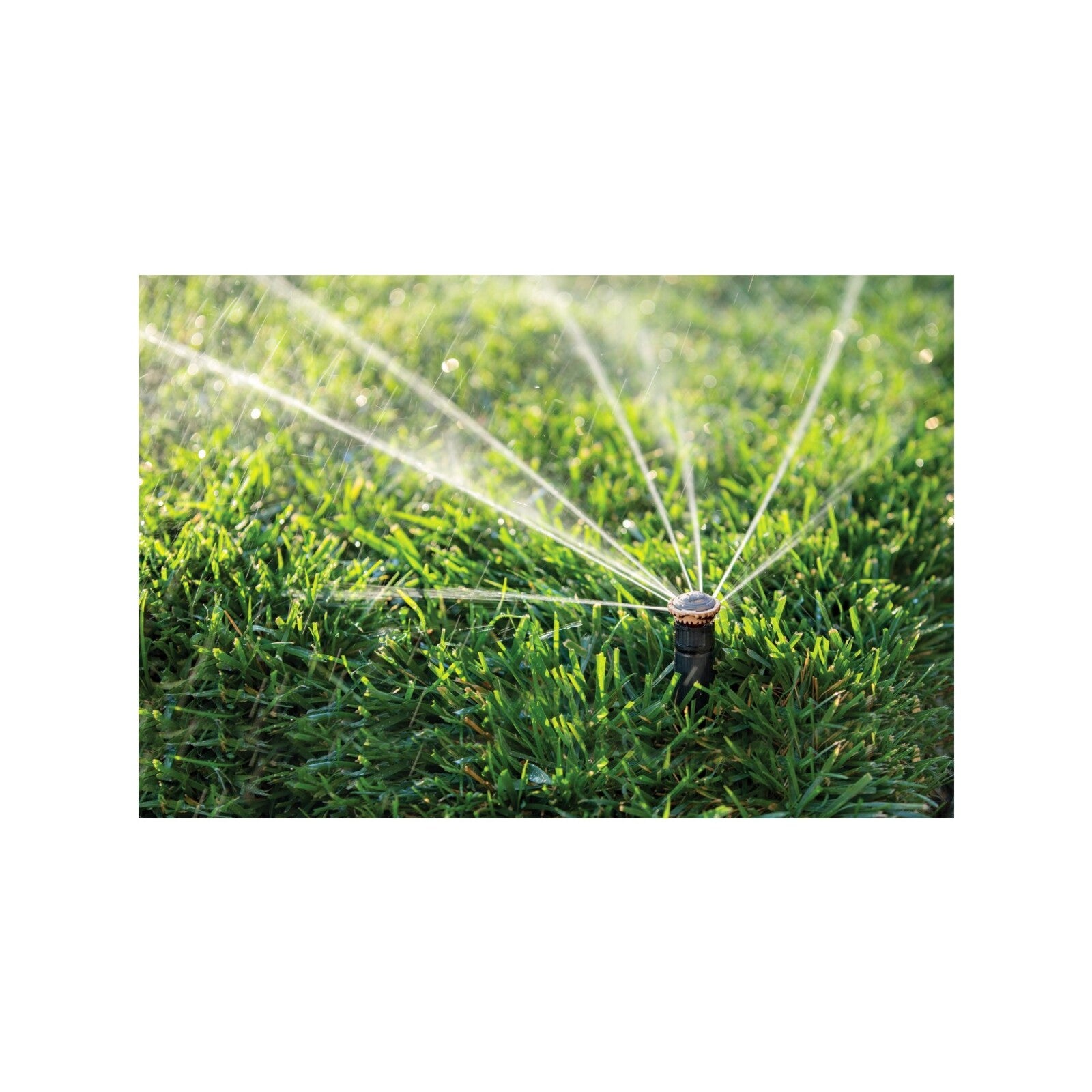 Rain Bird 4-5.5m High Efficiency Adjustable Pattern Rotary Nozzle