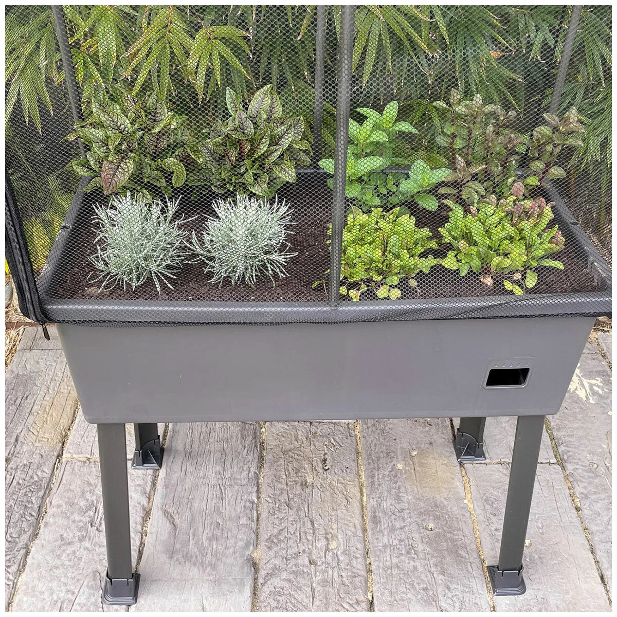Greenlife Raised Garden Bed Planter Box Mobile Castors 700mm Self Watering — image 7