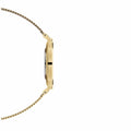 Daniel Wellington White Dial Quartz Wristwatch Petite Evergold Women's DW00100348 — image 4