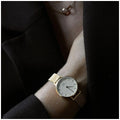 Daniel Wellington White Dial Quartz Wristwatch Petite Evergold Women's DW00100348 — image 6