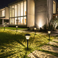 Click Charlotte Solar LED Pathway Light Crackled Glass