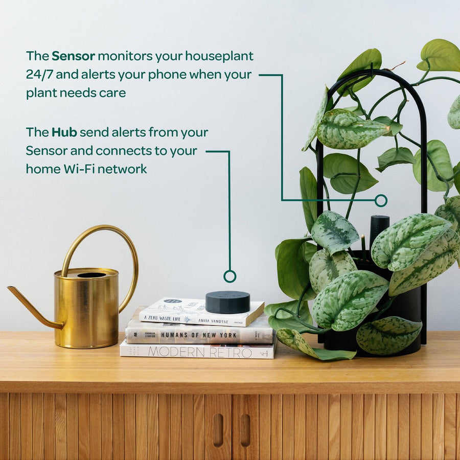 Willow Smart Indoor Large Pot Extension - Charcoal - 20cm to 50cm Depth - Durable - SuperSaverAU - view 3