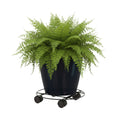 Eden 35cm Heavy Duty Round Pot Plant Trolley Black 60kg
