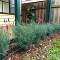 Jack Green Steel Federation Edging 400mm x 10m