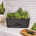 Backyard Farmer Lula Mini Greenhouse, Grey Seed Propagator
