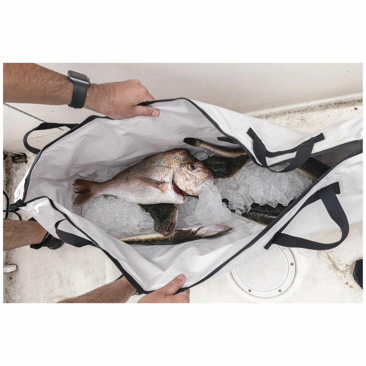 Berkley 65 Litre Fish Cooler Bag Medium Insulated Foldable — image 3