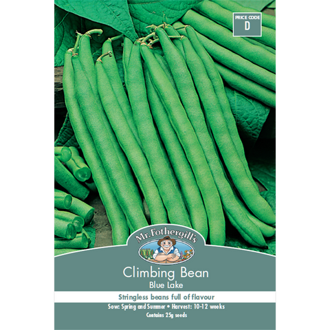 Mr Fothergill Climbing Bean - 240cm - Seeds - Heavy Crop - SuperSaverAU - view 1