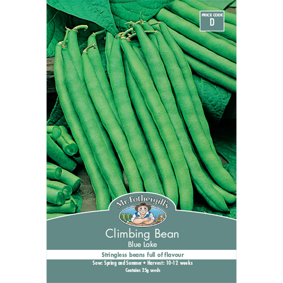 Mr Fothergill Climbing Bean - 240cm - Seeds - Heavy Crop - SuperSaverAU - view 1