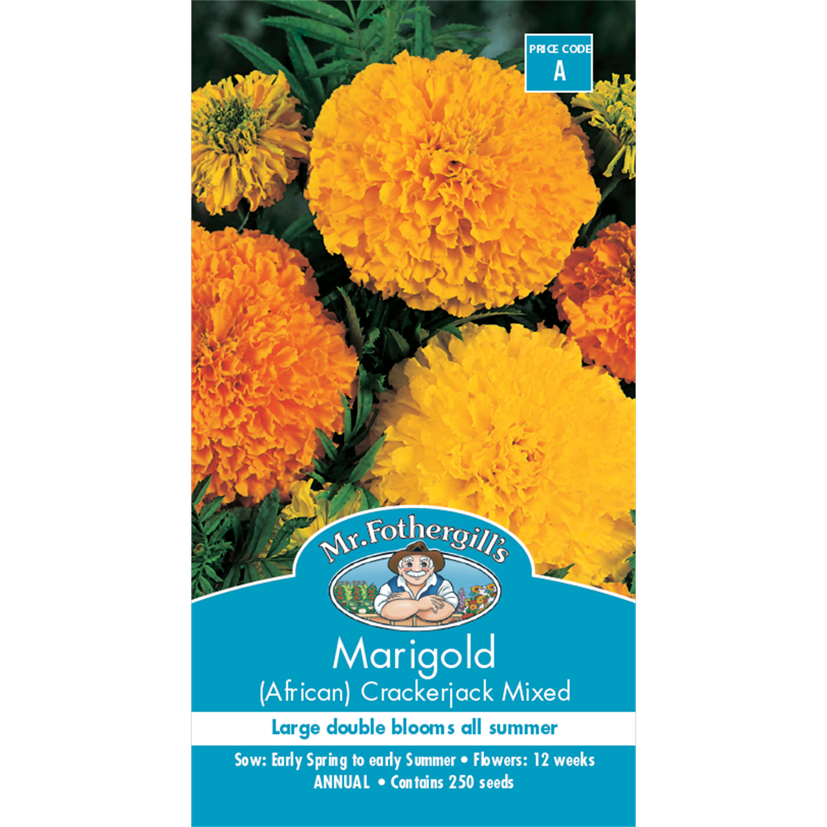 Mr Fothergill Marigold Crackerjack Seeds 75cm Hardy Bedding Plant - SuperSaverAU - view 1