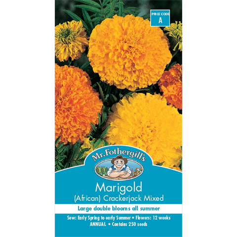 Mr Fothergill Marigold Crackerjack Seeds 75cm Hardy Bedding Plant - SuperSaverAU - view 1