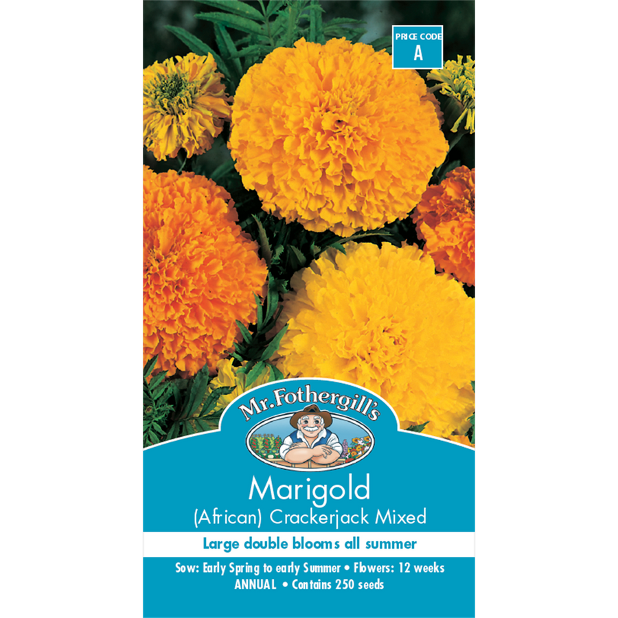 Mr Fothergill Marigold Crackerjack Seeds 75cm Hardy Bedding Plant - SuperSaverAU - view 1