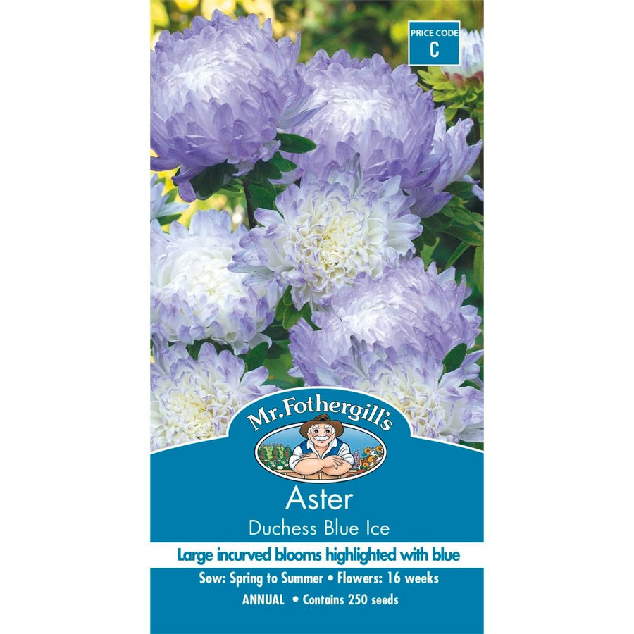 Mr Fothergill Aster Dutchess Blue Ice Seeds - 75mm - Easy To Grow - SuperSaverAU - view 1