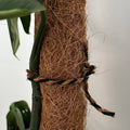 Pillar Coco Twine 25m - Black and Natural Twist - Biodegradable - 3.5mm - SuperSaverAU - view 2