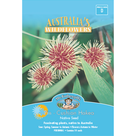 Mr Fothergill Pincushion Hakea Flower Seeds 500cm Hardy Shrub - SuperSaverAU - view 1