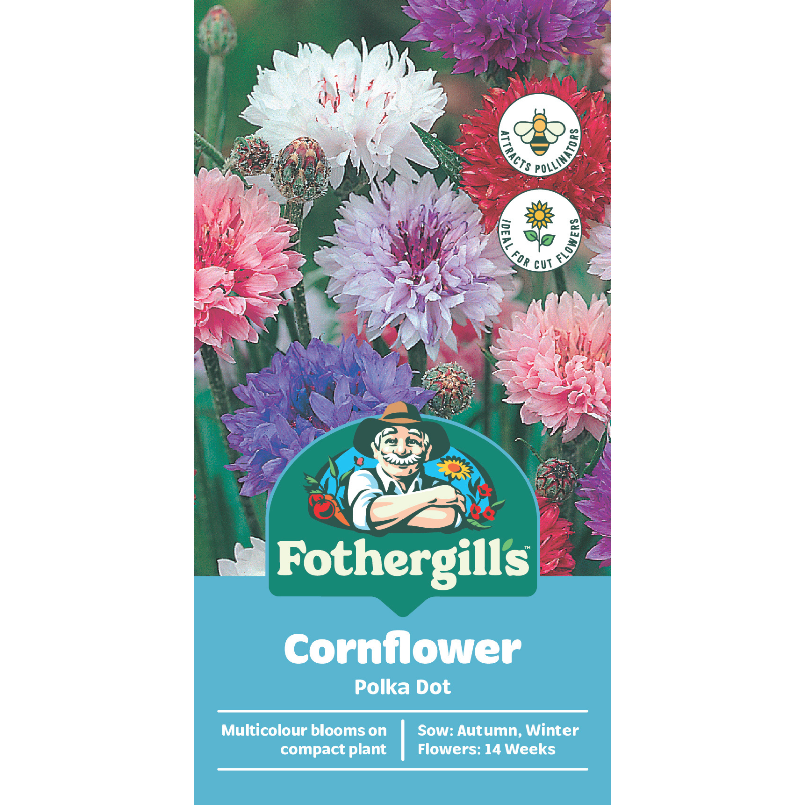 Mr Fothergill's Cornflower Polka Dot Flower Seeds