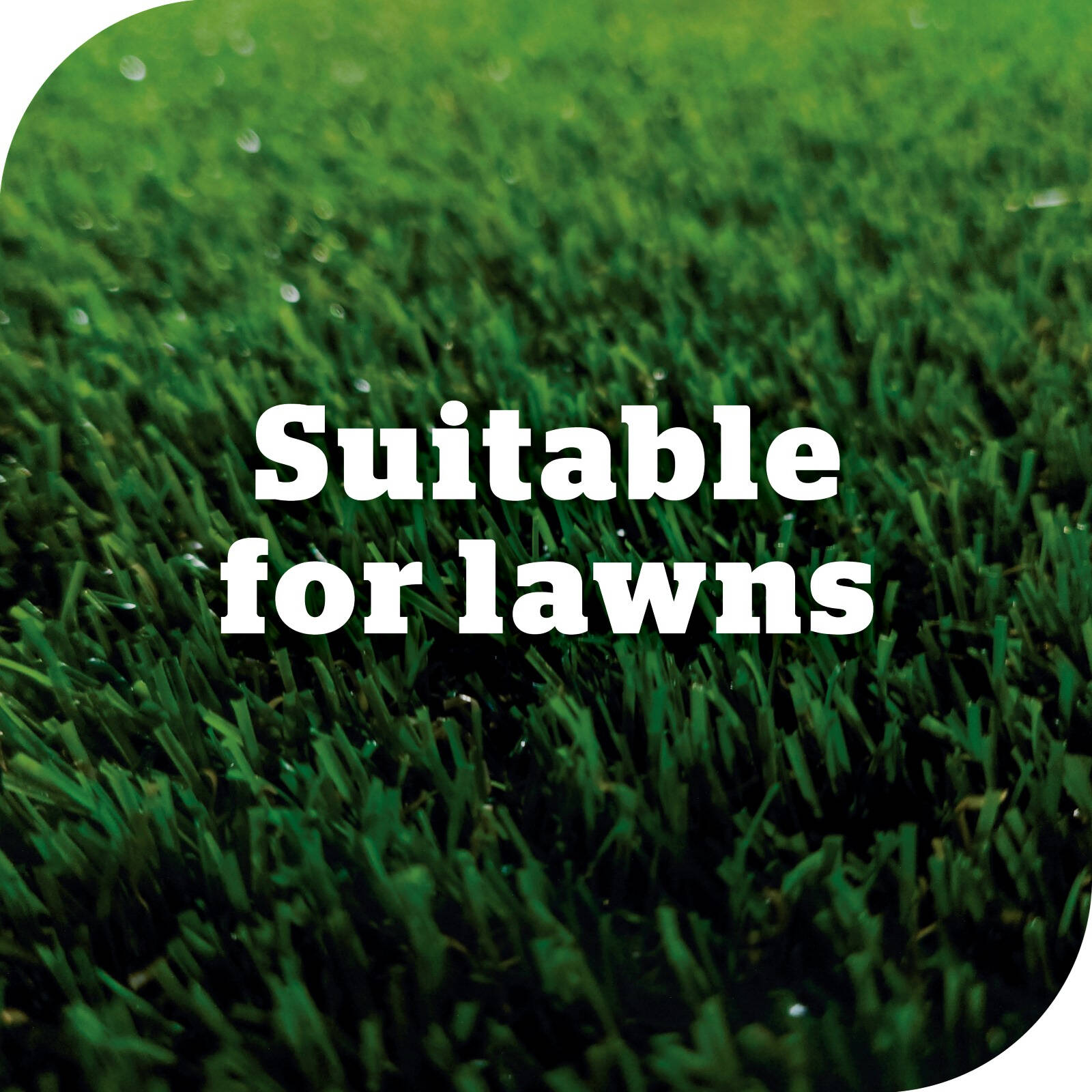 Yates 200ml Advanced Lawn Insect Killer Concentrate
