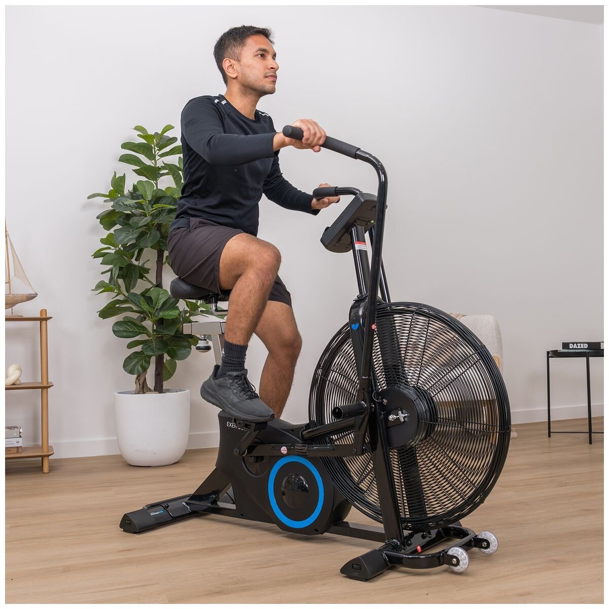 Lifespan Fitness Exercise Bike - 25-Inch Steel Fan, Air Resistance, Commercial Steel Frame - EXER90H