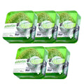 5 Pack Loofah Essential Oil Soap Bars Facial Cleansing Exfoliating - Aloe