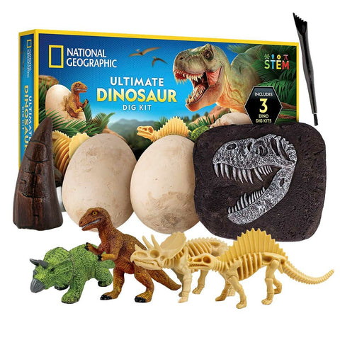 Kids Dino Excavation STEM Set with Three Bricks, Digging Tool and Learning Guide by National Geographic