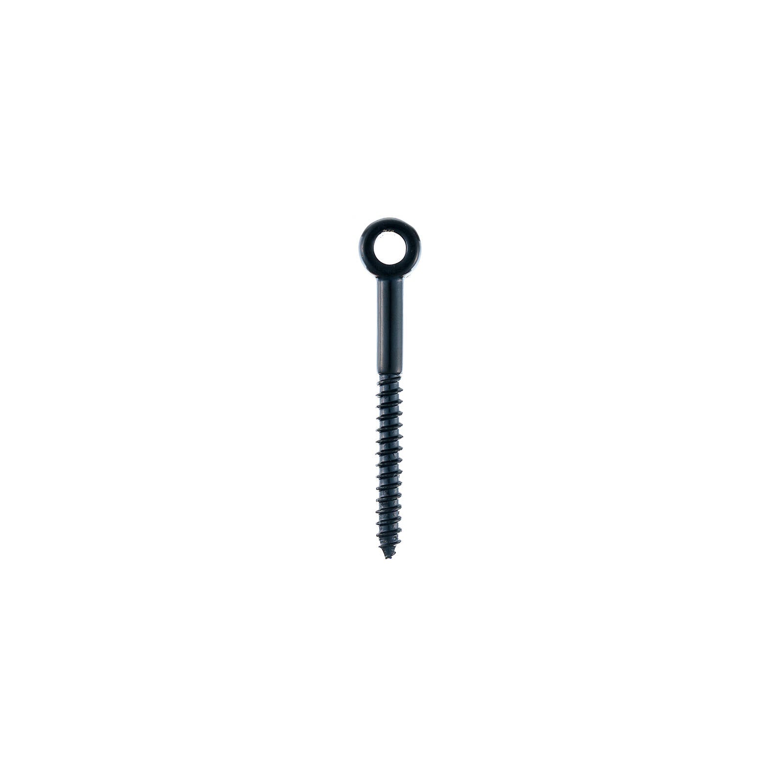Taskmaster 6mm Black 316 Stainless Steel Lag Screw - 12 Pack