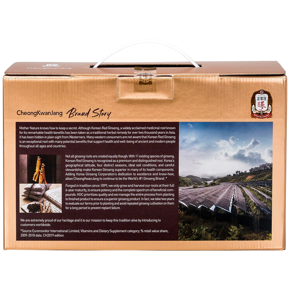 Hong Sam Won Plus Korean Red Ginseng Tea Pouch 30 x 50ml