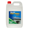 Selleys Point Works Accelerant Spray 5L Water Based Fast Drying - SuperSaverAU - view 1