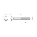 Zenith M16 x 150mm Hot Dip Galvanised Cup Head Bolt & Nut - 4.6 Grade Steel