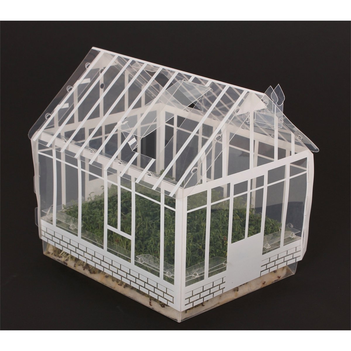 Mr Fothergill Mini Greenhouse Kit - 165mm x 210mm - Plastic - Kids Gardening - SuperSaverAU - view 3
