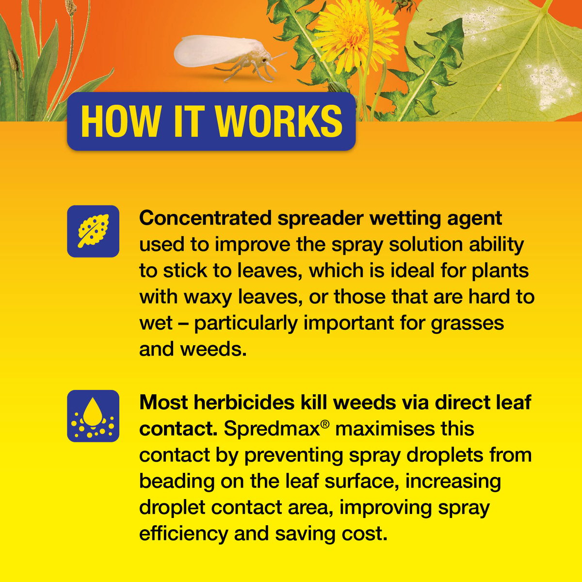 Searles Wetting Agent - 200ml - Liquid Concentrate - Herbicide Additive - SuperSaverAU - view 5
