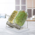 Mr Fothergill S Twin Sprouter Jar Grow Kit - 210mm x 200mm x 125mm - Compact Design - Includes Alfalfa & Mung Bean Seeds - SuperSaverAU - view 4