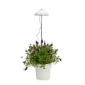 Home Grown Indoor Grow Light - Adjustable 70cm - Metal - Full Spectrum - SuperSaverAU - view 3