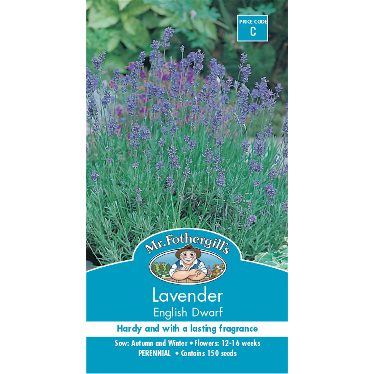 Mr Fothergill's Dwarf Lavender Flower Seeds - 75mm - Hardy - Fragrant - SuperSaverAU - view 1