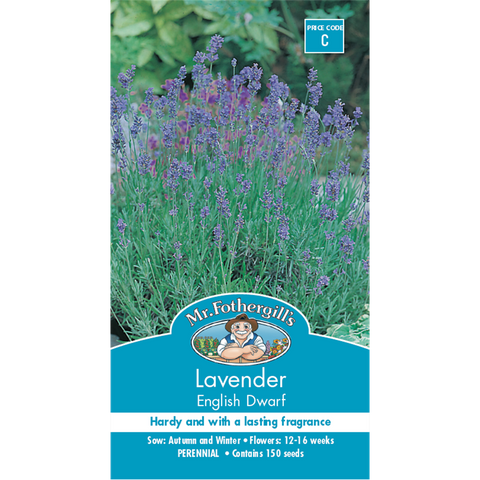 Mr Fothergill's Dwarf Lavender Flower Seeds - 75mm - Hardy - Fragrant - SuperSaverAU - view 1
